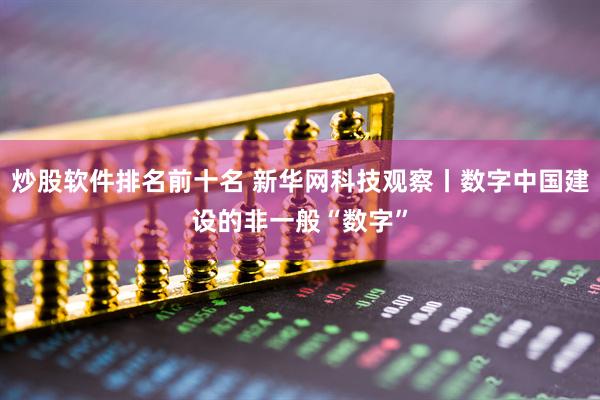 炒股软件排名前十名 新华网科技观察丨数字中国建设的非一般“数字”